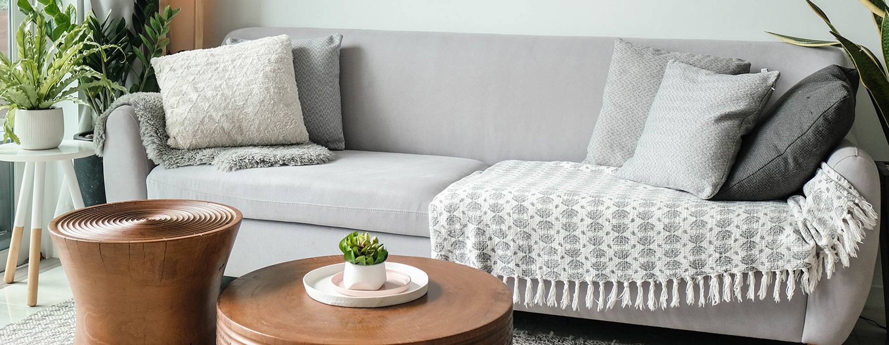 lifestyle image of a grey couch with foliage and modern decor